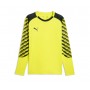 TeamLiga26 GK Jersey