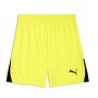 TeamLiga26 Shorts